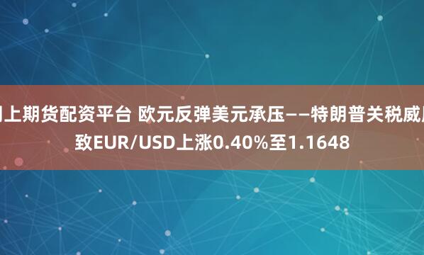 网上期货配资平台 欧元反弹美元承压——特朗普关税威胁致EUR/USD上涨0.40%至1.1648